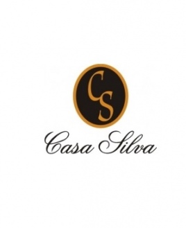 Casa Silva